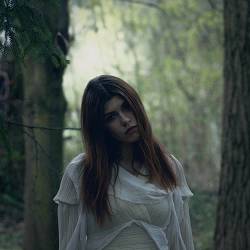 Sonyachna - ZVIR