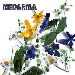 NEDARMA - Ілюзія