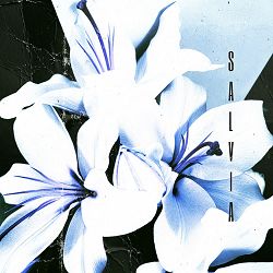 SALVIA - Adrenaline