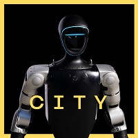 LATEXFAUNA - City