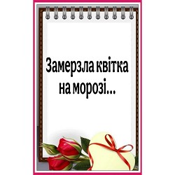 Ші - ЗАМЕРЗЛА КВІТКА