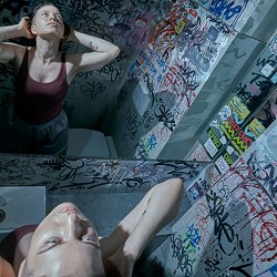 Блекфіш - Ведмедики CBD