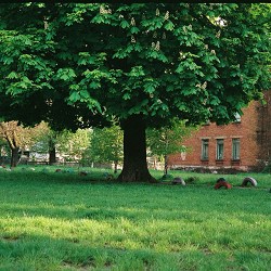 Практика! - Цугцванг