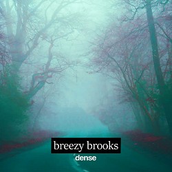 breezy brooks - Dense