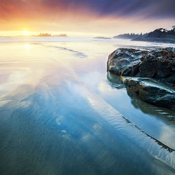 Dreamy Thoughts - Cold Morning