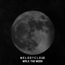 Melodycloud - Walk the Moon