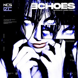 criticaleye, SHIRO, dolshi - echoes