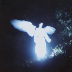 ALTOLESS - where have u gone