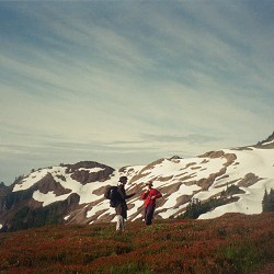 typeled - дайте йому гори
