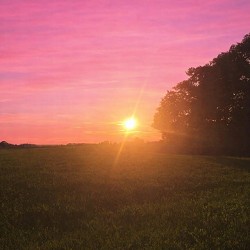 gera, FAYNER - Рожеве небо