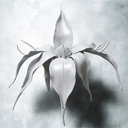 Alina Pash, David August - Portal