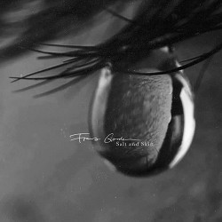 Franz Gordon - Salt and Skin