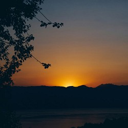 Della Valle - Summer Dream