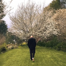 Biba Dupont - Breakup in Bloom (in E)