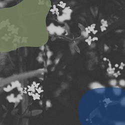 J Alke - Leaving The Nest