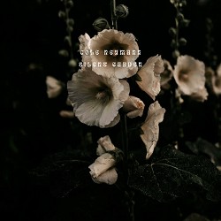 Cole Neumann - Silent Garden