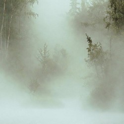 A Howard - Contemplation