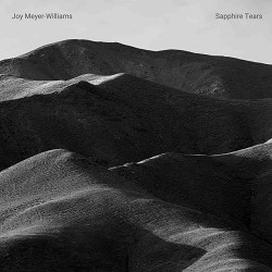 Joy Meyer-Williams - Sapphire Tears