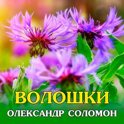 Олександр Соломон - Вечір випускний
