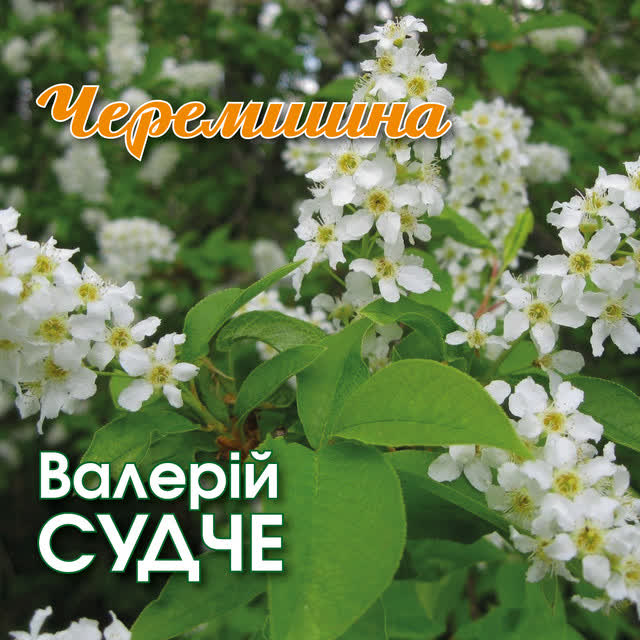 Валерій Судче - Черемшина