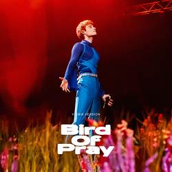 Ziferblat - Bird of Pray - Vidbir 2025