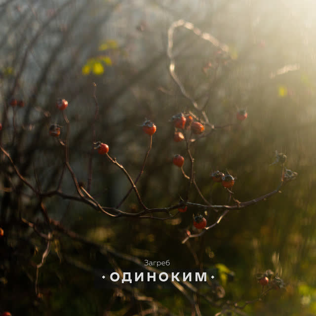 Загреб - Кричат Люди