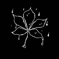 ENLEO - під київським дощем
